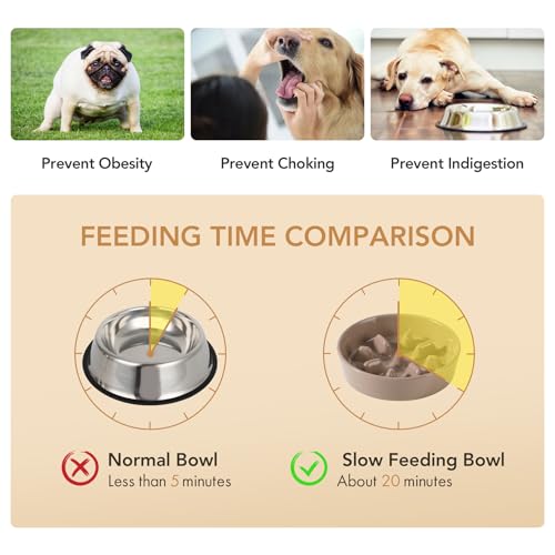 Havniva Elevated Slow Feeder Dog Bowls, Ceramic Dog Bowl Slow Feeder Set | 1.2 Cups Raised Slow Feeder Dog Bowl for Small Breed, 6.1” Dog Water Bowl with Wooden Stand, Puzzle Dog Food Bowl, Non-slip - color: Brown Coffee