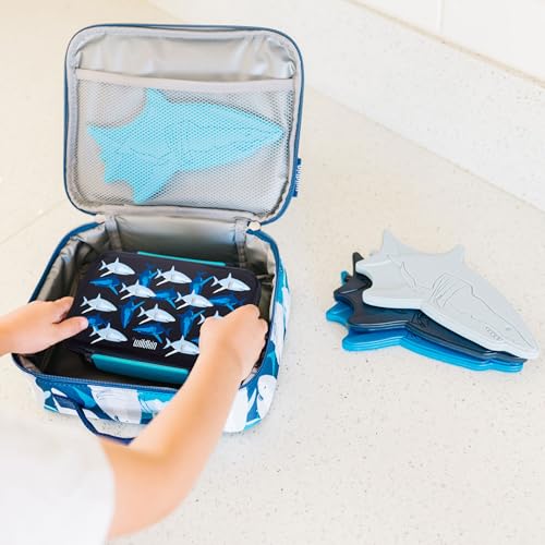 Wildkin Reusable Food Container for Kids – Airtight, Leak Resistant, Dishwasher Safe - Sharks - color: Sharks