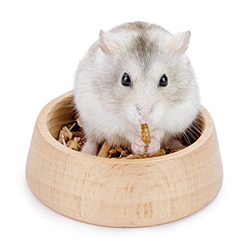 Niteangel Wooden Hamster Food Bowl: Beech Stable & Hammy Pattern for Dwarf | Prevent Oil & Dust Small Animal Feeding Dish for Dwarf Syrian Hamsters Gerbils Mice Degus or Other Similar-Sized Small Pets - size: For Dwarf