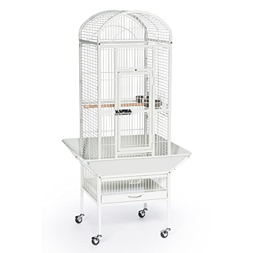 Prevue Pet Products Dome Top Bird Cage with Push Button Locks - Chalk White | Powder‑Coated Steel Cage with Wheels, Seed Guards, and Perch, Ideal for Cockatiels and All Small-Medium Sized Birds
