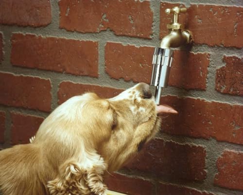 Lixit® L100 Water Faucet Automatic Fountain for Dogs and Other Pets - Made in USA (2 Pack) - size: 2 Pack
