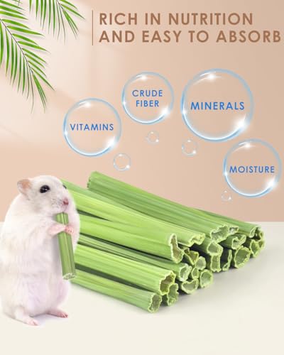 Bissap 25 PCS Guinea Pigs Chew Sticks, Natural Papaya Stems Bunny Chews Treats for Hamsters Chinchillas Small Animals Organic Molar Chewing Snack - size: 25 PCS