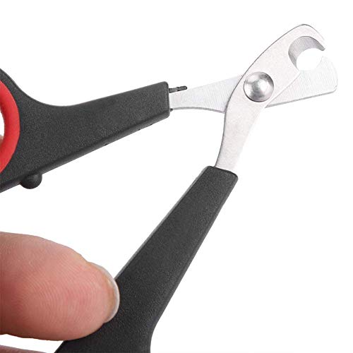 Solid Stainless Steel Bird Nail Clipper, Bird Cage Essential Accessories, Bird Grooming Tool Accessory for Pet Store & Parrot