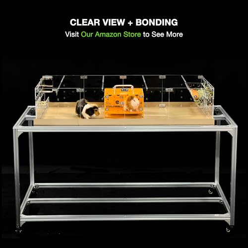 GuineaLoft™ Model-A2 Acrylic Guinea Pig Cage w/Translucent Gauze Lid | Supporting Beams & Connect/Roaming Doors, Large 4x2ft Expandable C&C Cage, Works Also For Bunnies, Button Quails, Hedgehogs - color: Model-A2