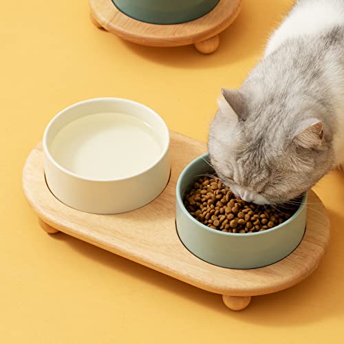 Havniva Raised Cat Bowl, 6.1” Elevated Ceramic Cat Food and Water Bowl Set | Cat Bowls Elevated, Whisker Friendly Cat Bowl, Non-Slip Wood Stand, Food-Grade Ceramic, Wide Opening, Dishwasher Safe - color: 2 x Bowl + Stand - Light Green, size: 6.1inch