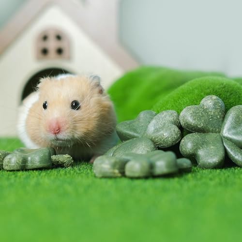 TEEWY Hamster Toys, Guinea Pig Chew Toys with Natural Timothy Hay for Guinea Pigs, Chinchillas, Hamsters, Gerbils and Other Small Pets, Teeth Grinding Toys, 8PCS，Clover-Shaped