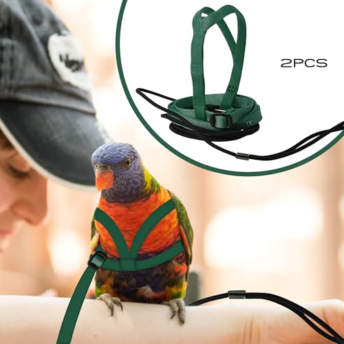 2 pcs Pet Parrot Bird Harness and Leash, Adjustable Training Design Anti-Bite, Outdoor Flying Training Rope Kit for Bird Parrots Fits Birds Chest Between35-62cm /13.78-24.41inch - L (Green - color: green, size: L