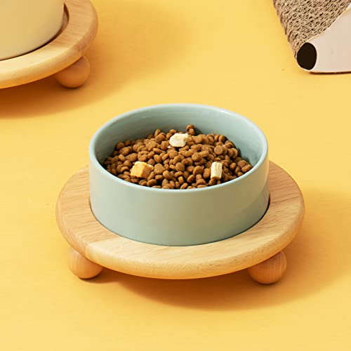 Havniva Raised Cat Bowl 6.1” Elevated Ceramic Cat Food and Water Bowl | Cat Bowls Elevated, Whisker Friendly Cat Bowl, Non-Slip Wood Stand, Food-Grade Ceramic, Wide Opening, Dishwasher Safe - color: 1 x Bowl + Stand - Light Green, size: 6.1inch