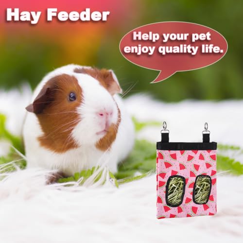 DZWLKJ Rabbit Hay Feeder, 600D Polyester, Watermelon, Hay Feeder Bag, Guinea Pig, Chinchilla, Hamsters, Small Pets, 1 Pack, Foldable, Lightweight - size: S -10"x 8"x 0.4"