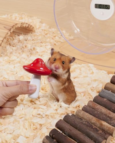 Niteangel Hamster Chew & Decor Toys: Pack of 2 Mushroom-Shape & Beech Wood | Chew-Friendly Design to Control Tooth Overgrowth for Syrian Dwarf Hamster Gerbils Mice Lemming Degu or Other Small-Sized Pets - size: Mushroom-Shape