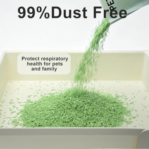 Tofu Cat Litter – Green Tea Scented for Long-Lasting Freshness, Plant-Based Kitty Litter, Flushable, Low Dust, Non-Stick Pellets for Easy Scoop & Clean, 5.5 lb - size: 5.5lb x 1 bag