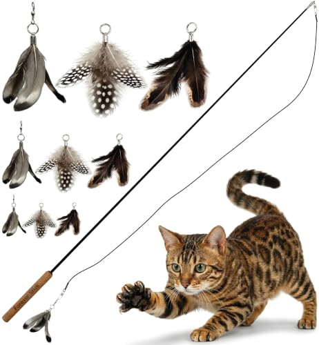 Forever Stick and 9 Cat Feather Toy Refills - The Unbreakable Cat Wand Toy, Durable Cat Toy Wand, Extra Long Cat String Toy, Cat Fishing Pole Toy for Bored Indoor Adult Cats, Cat Stick Toy - size: Forever Stick and 9 Feather Toys