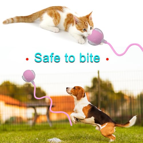 Interactive Cat Dog Toy Ball with LED Light, Automatic Rolling(Pink) | String Tail and LED Light Design, Motion Activated, Suitable for Interactive Indoor Pet Play and Exercise - color: Pink
