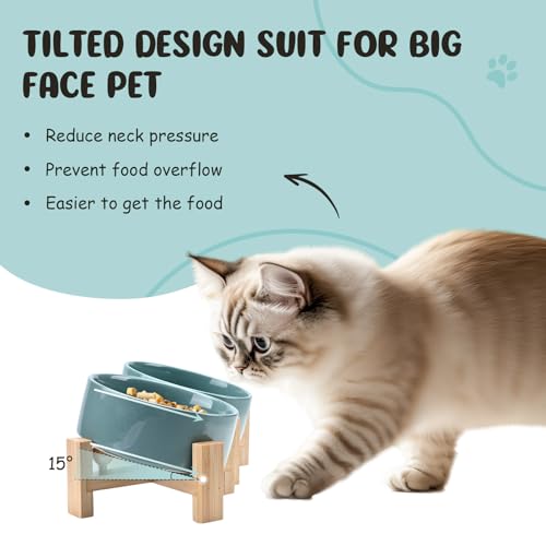 SPUNKYJUNKY 15° Slanted Ceramic Dog and Cat Bowl with Wooden Stand, Tilted Bulldog Food and Water Bowl No Slip Non-Spill for Cats Medium Dogs Big Face Pets 13.5 OZ (1.7 Cups, Light Green × 2) - color: Light Green, size: 1.7 CUPS × 2