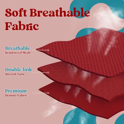 rabbitgoo Dog Harness Small Sized and Leash Set, Step in Soft Vest | Breathable Mesh, Easy Wear with Hook & Loop, Light and Reflective for Walking, Multi-colored, Red & Teal, XXS - color: Red & Teal, size: XXS (Chest: 12.4"-14.2")