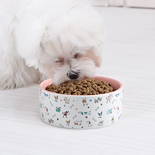 FE FUN ELEMENTS Ceramic Dog Bowls for Small Dogs, 16 Fl Oz Heavy Food and Water Bowl with Adorable Patterns (Small, Pink) - color: Pink Patterned, size: Small-5.5 inch