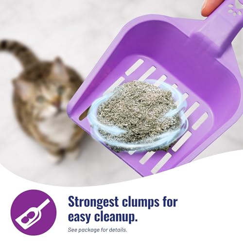 Cat's Pride Total Odor Control, Max Power, Clumping Litter Scented 15lb - size: 15 pounds, style: Total Odor Control Scented