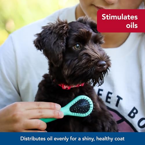 Coastal Pet Li'l Pals Dog Combo Brush - Dog Grooming Brush for Small Dogs - One Size