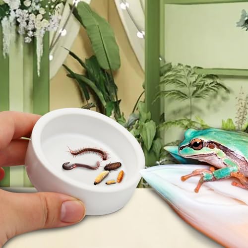 Escape-Proof Reptile Food Dish Bowl, Ceramics Small Animal Bowls for Lizard Frog Snake Turtle Gecko Hamster Food Bowl for Anti Living Foods Escape, Reptile Water Dish (S,1.96inches) - size: S,1.96inches