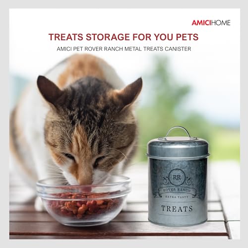 Amici Home Rover Ranch Pet Rover Ranch Metal Treats Canister - Silver 64 Oz - style: Treats