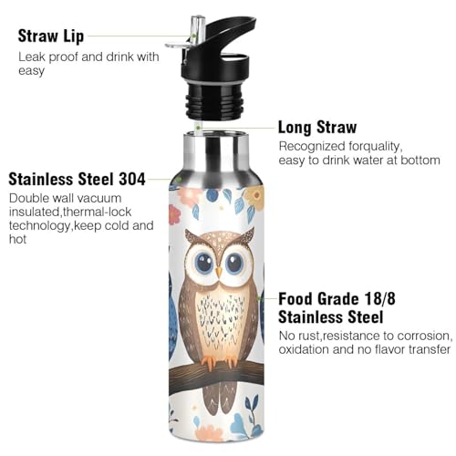 Cute Owls Water Bottle Kids Stainless Steel with Straw Lid | Leak Proof Water Bottle Boys Girls Insulated Tumbler Cup for School 20 oz - color: Multi22