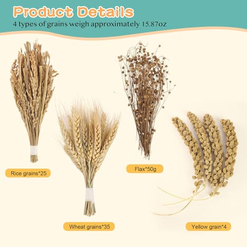 Hamster Spray Set - Natural Snack Grains & Chew Toys for Cage Decoration Accessories, Soft Bedding for Dwarf Syrian Hamsters, Gerbils, Mice & Small Pets - size: 4 Kinds of Grains