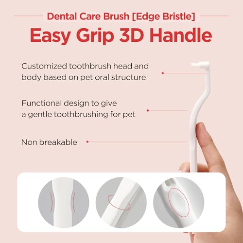 JAYU PET Dental Care Brush (Edge Bristles) 1ea - Micro Round Head Dog Toothbrush, Cat Toothbrush, Dental Care, Perfect for Kitten & Small Breed with End-tuft Diagonal-Shaped Bristle & Easy Grip Handle - color: Edge Bristles, size: 1 Count (Pack of 1)