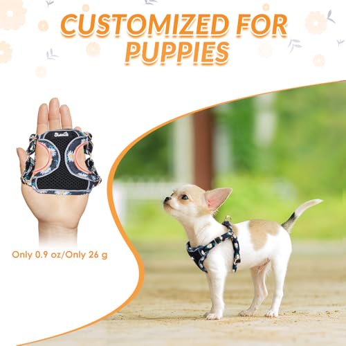 Lukovee Puppy Harness and Leash Set, No Pull Step in Lightweight Mesh Vest | Soft, Reflective, Easy Put on and off, Adjustable, Breathable Air Mesh, with 51in Leash for Walking Hiking (Black, S) - color: Black, size: Small (9-17.5 lb)