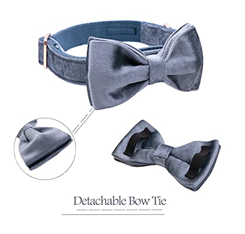 ARING PET Bowtie Dog Collar,Velvet Dog Collars with Detachable Bowtie, Cute &Comfortable Dog Collar, Blue X-Small. - color: B-Blue, size: X-Small (Pack of 1)
