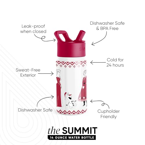 Simple Modern Disney Frozen Kids Water Bottle & Toddler Cup | 14oz | Insulated Stainless Steel Anna and Elsa Toddler Water Bottle, Kids Tumbler with Straw | Spill Proof for School, Girls, Boys - color: Disney-Frozen Red Dress Winter, size: 14 Ounces