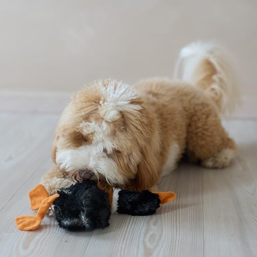 SPOT Skinneeez Mini Mallard Duck 13 Inch Stuffing-Free Plush Squeaky Dog Toy – Soft Interactive Toy for Small and Medium Dogs – Mess-Free Play for Light & Moderate Chewers – Assorted Styles - style: Mini Mallard Duck