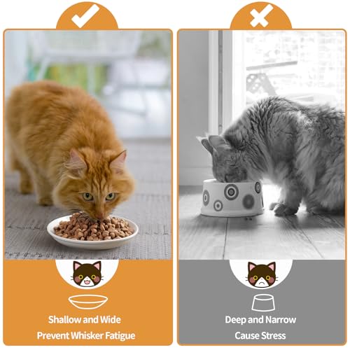 5.9 inch Ceramic Cat Bowls,Wide Shallow Dishes,Whisker-Friendly Plates,Food and Water Bowl for Indoor Cats,-10 oz,3 Pack - color: Basic Dish