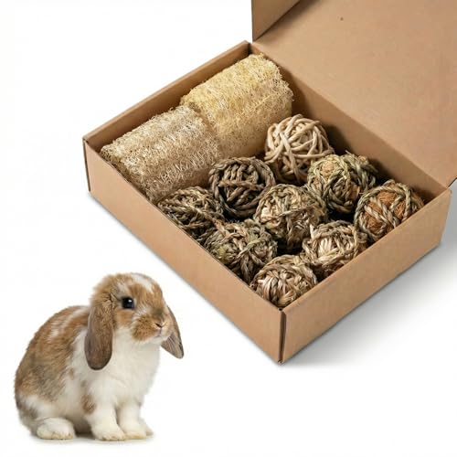 11 Pcs Rabbit Chew Toys, Interactive Bunny Foraging Toy, Natural Materials, Loofah Sponges, Seagrass Balls, Dental Cleaning, Relieve Stress