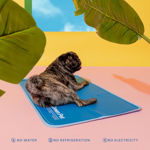 The Green Pet Shop Cool Pet Pad - Extra Small, Blue - Self-Cooling, Pressure Activated Mat for Dogs & Cats from 0-8 lbs - Non-Toxic Gel, No Water Needed - color: Blue, size: X-Small