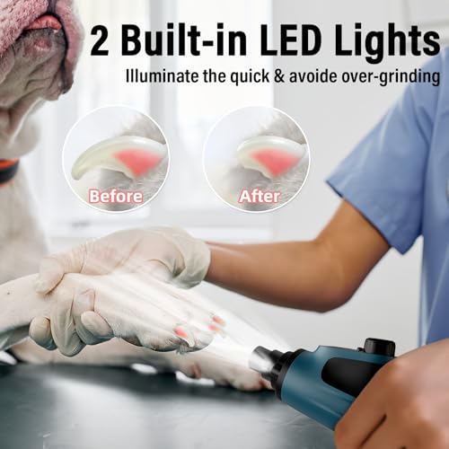 Casfuy Smart 6-Speed Dog Nail Grinder - 50% More Power Pet Nail Grinder with 2 LED Lights Quiet Rechargeable Electric Dog Nail Trimmers File Toenail Grinder for Large Medium Small Dogs & Cats (DB) - color: Dark Blue