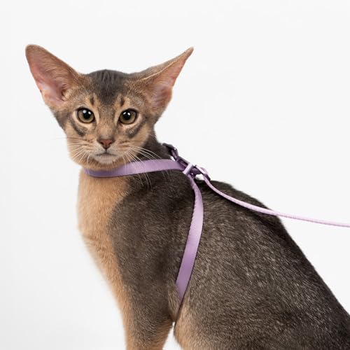 Cat Harness and Leash 2-in-1, Escape Proof Anti-Choking Harness Adjustable Lightweight Leash One-Piece Non-Detachable for Kitten Cats Outoor Walking Training, US IDA Bronze Award (Purple) - color: Monet Purple