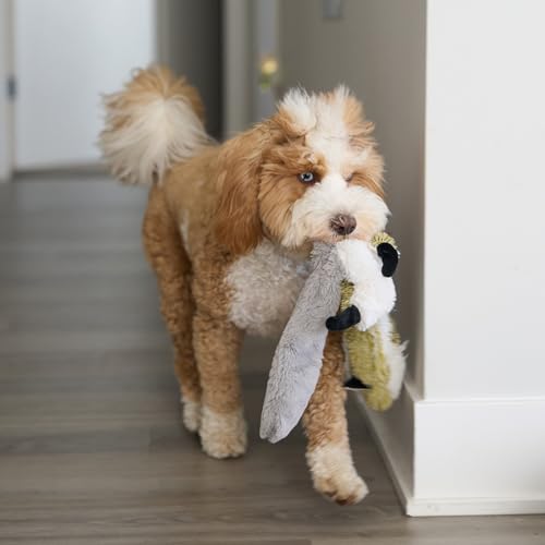 SPOT Skinneeez Raccoon 23 Inch Stuffing-Free Dog Toy – Soft Plush Tug Toy with Two Squeakers for Medium and Large Dogs – Mess-Free Interactive Chew Toy - style: Raccoon