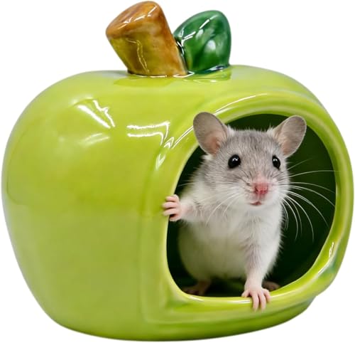 RUIAN Hamster Hideout - Ceramic Hamster Hide for Syrian and Dwarf Hamsters, Hamster House and Hamster Sand Bath Cave, Gerbil Hideout for Small Animal Cage Accessories(Green) - color: green