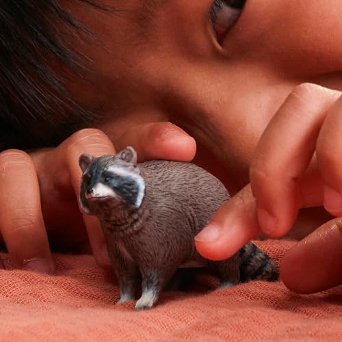 Schleich Wild Life - Raccoon Figurine - Realistic Forest Wildlife Animal Figurine for Boys and Girls - Imaginative Play Animal Toys for Kids Ages 3+ | 14937 | Wild Animal Figurine, Realistic Animal Toys, Safari Toy for Boys and Girls, Screen-Free Imaginat