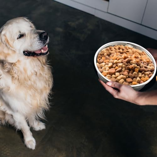 Teenyyou 8 Pcs Hammered Stainless Steel Dog Bowls 8 Cup/64 oz, 8.5 Dia Metal Pet Food and Water Bowls Bulk Thickened Durable Replacement Dish for Small Medium Large Dog (Silver) - size: 8 Cup/64 Oz, 8.5 Dia