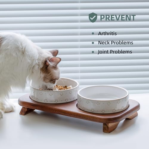 Havniva Ceramic Cat Food Bowl, 6.1" Raised Cat Bowls with Acacia Wood Stand | Elevated Cat Bowls, Whisker Friendly, Extra Wide Opening, Aesthetic Cat Dishes, Elegant Pet Bowls, Food-grade Ceramic, Kitten - color: 2 Bowls+Stand- Arctic White