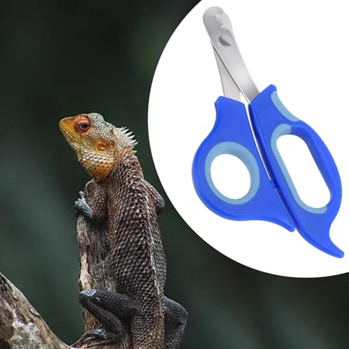 KEUYE Bearded Dragon Nail Clippers,Stainless Steel Bearded Dragon Toe Nail Clippers with Precise Angled Edges (Blue) - color: Blue