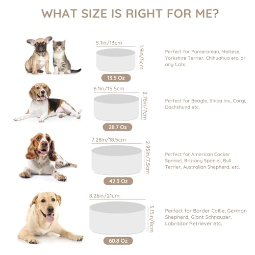 SPUNKYJUNKY 13.5OZ Ceramic Dog and Cat Bowl, Modern Cute Weighted Food Water Bowl for Replacement White (2 Pack) - color: White, size: 1.7 CUPS × 2