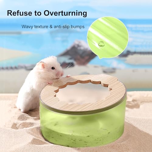 Hamster Sand Bath Box, Small Animal Bathroom, Easy to Clean Bathtub, Cage Accessories for Dwarf and Syrian Hamsters, Gerbils - color: Green