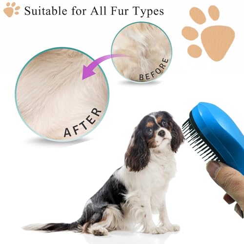 Small Dog Brush, Soft Puppy Brush, Massage Pet Grooming Tool | Small Dog Brush, Soft Pet Grooming Brush for Shih Tzu Yorkie Maltese, Puppy dog Cat Massage Brush for Small Animal - color: blue
