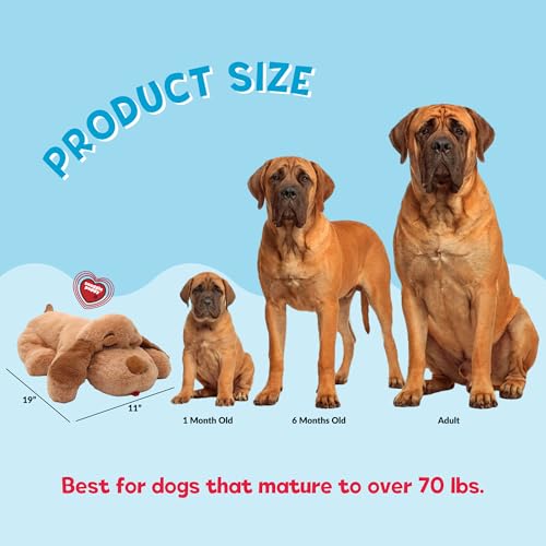 Snuggle Puppy Heartbeat Puppy Toy for Large Breeds, Plush Dog Toy with Real-Feel Pulse and Heat Pack for Crate Time, First Nights, and Rest - Biscuit - color: Large Breed Biscuit