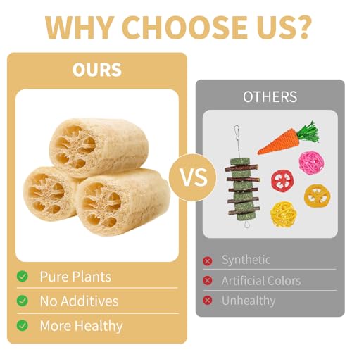 BESNEW 3 PCS Rabbit Chew Toys,100% Natural Loofah Without Additives,Bunny Chew Toys for Teeth,Fiber-Rich Rabbit Treats for Bunny Chinchilla Dogs - style: 3 ps