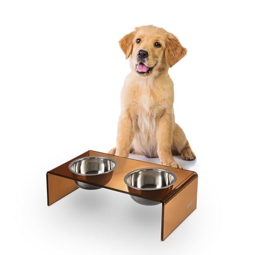 DBL2000D Keaton 5" Small/Medium Modern Acrylic Rectangular Elevated Pet Feeder with 20oz 2-Stainless Steel Bowls, Amber/Chrome - color: Amber/Chrome, size: 20 Ounces (5" Cups 2-Pack)