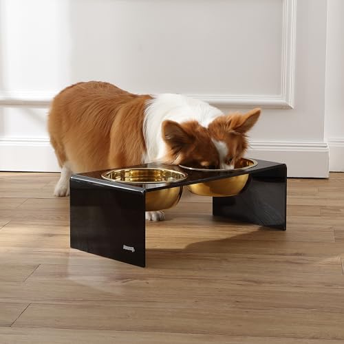 DBL2001B Keaton 7.5" Medium/Large Modern Lucite Rectangular Elevated Pet Feeder with 54oz 2-Stainless Steel Bowls, Black/Gold - color: Black/Gold, size: 54 Ounces (7.5" Cups 2-Pack)