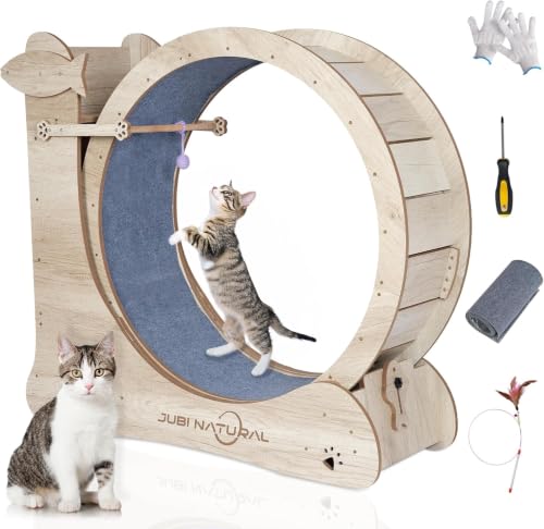 35.9" Cat Exercise Wheel for Indoor Cats, Compact Low-Noise | 4-in-1 activity center with removable carpet, safety lock, anti-pinch design, sisal scratcher, teaser toy and storage shelf